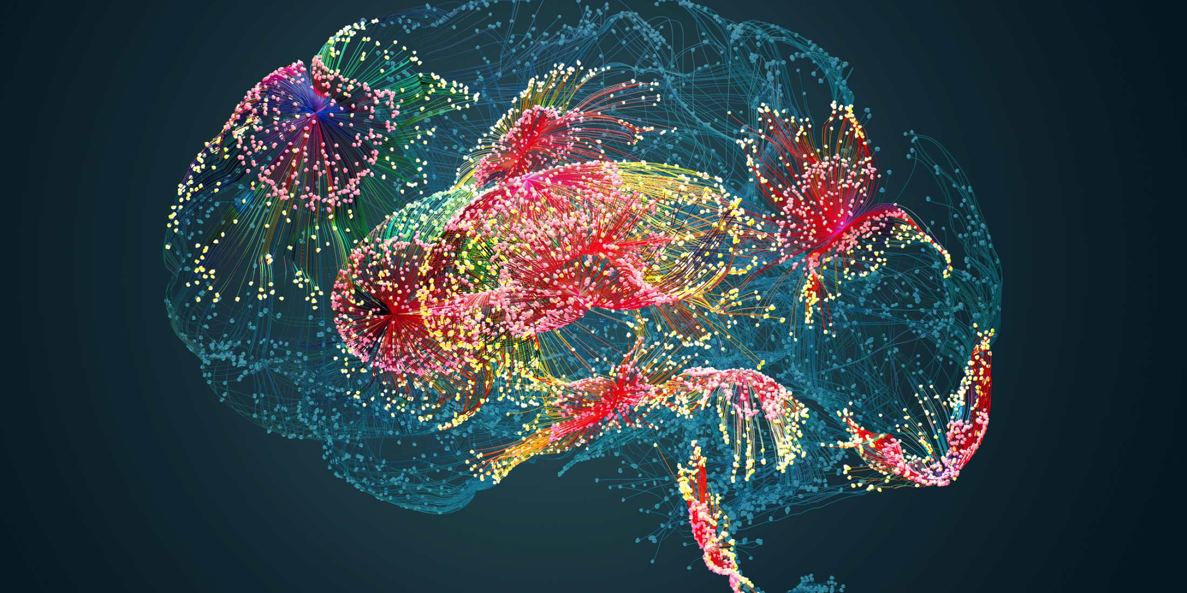 interconnected nodes in a brain shape