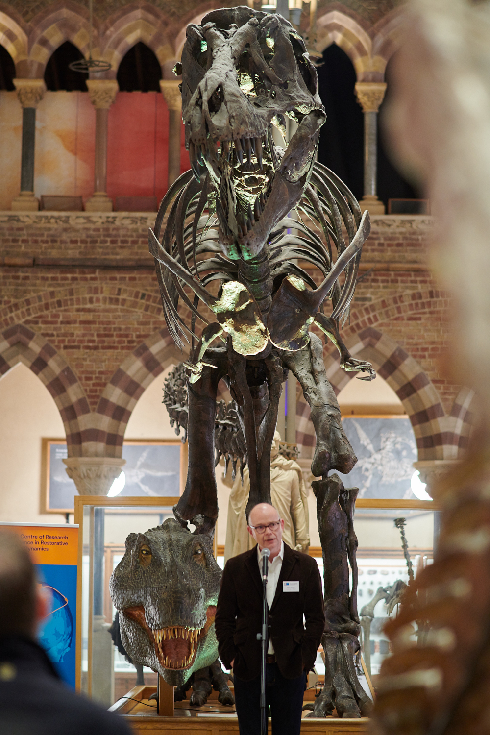 a researcher is overshadowed by a T. Rex skeleton