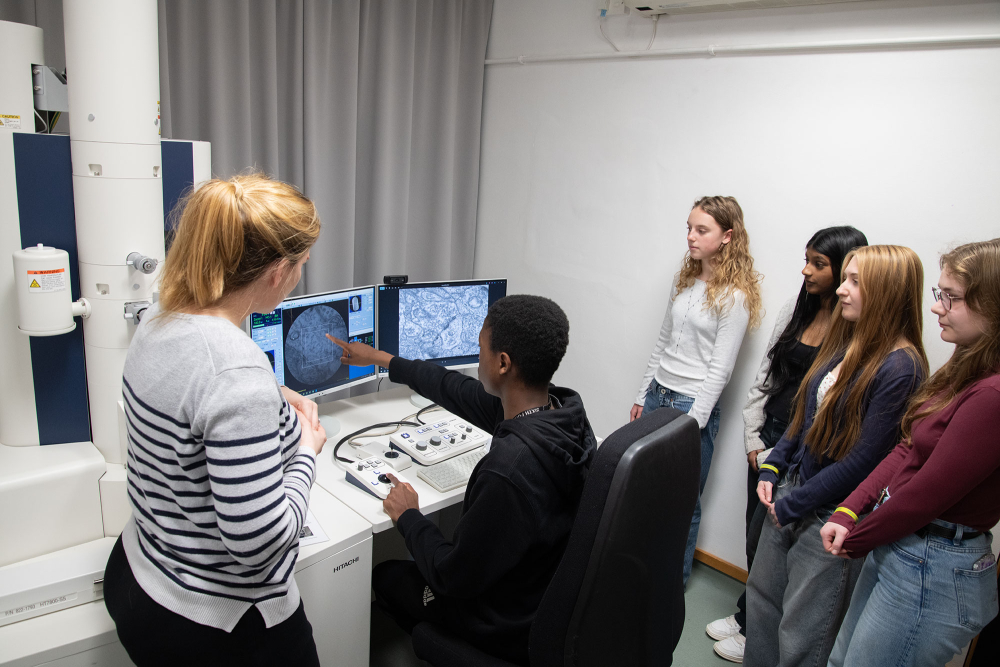 News | MRC CoRE in Restorative Neural Dynamics