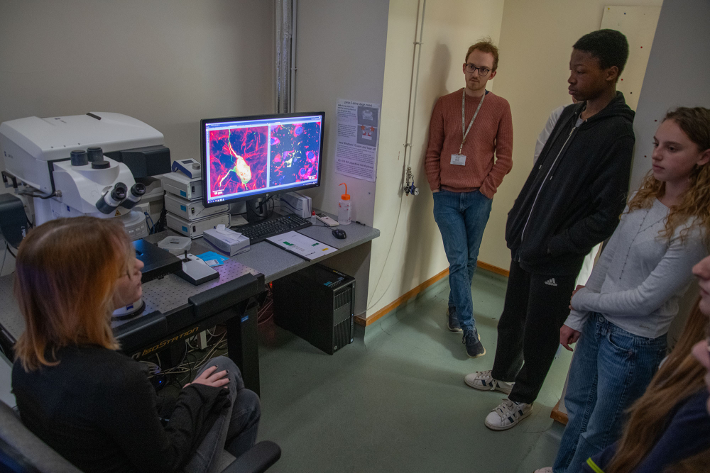 a research shows images on a computer monitor, next to a laser scanning confocal microscope, as pupils observe