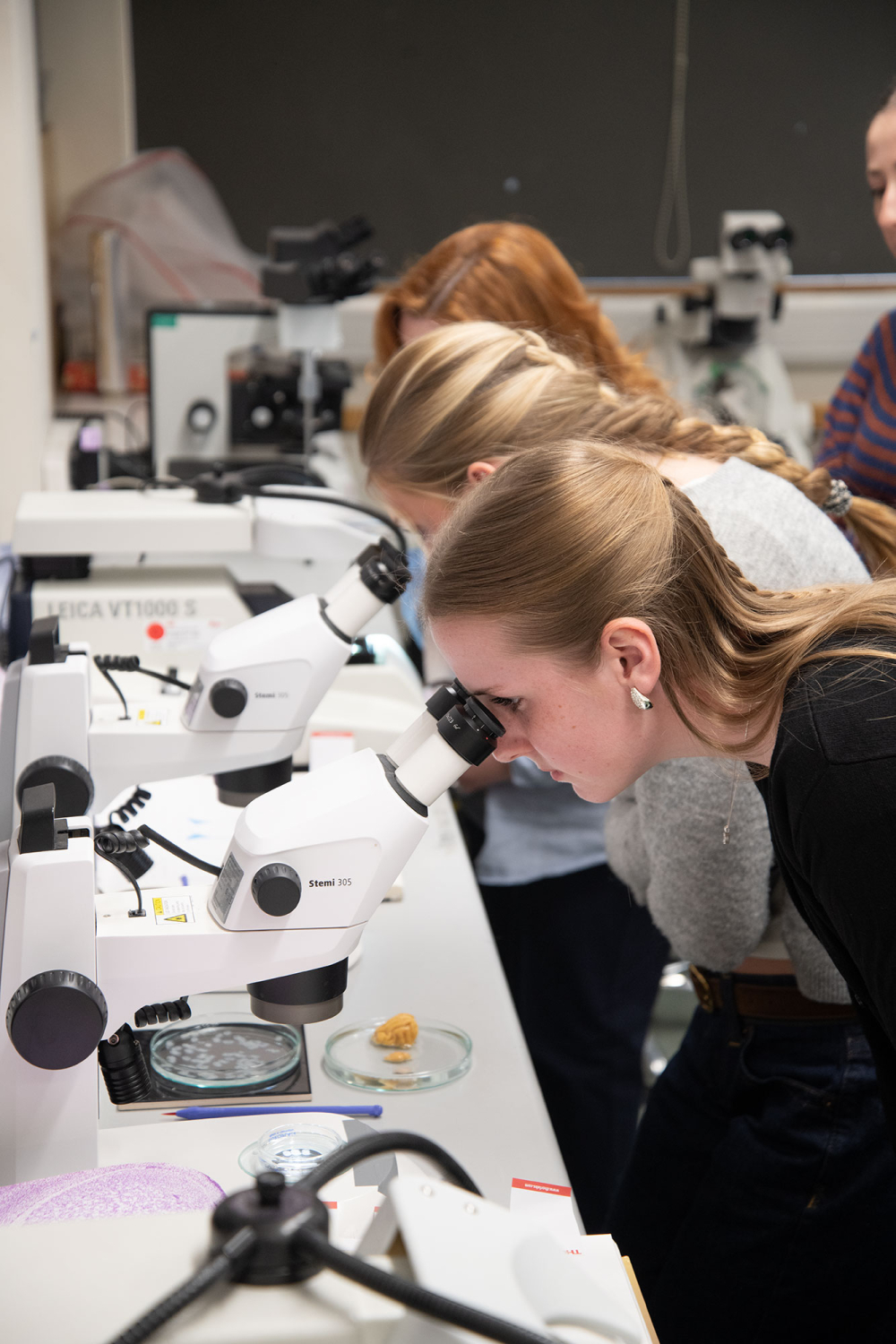 the pupils look down three microscopes